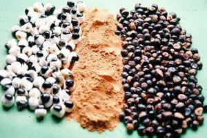 Sementes descascadas, pó e sementes torradas de guaraná